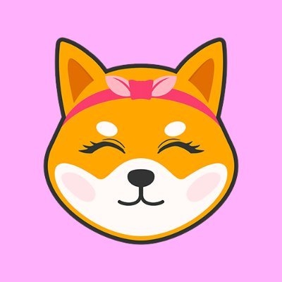 Image result for Shiba Girlfriend