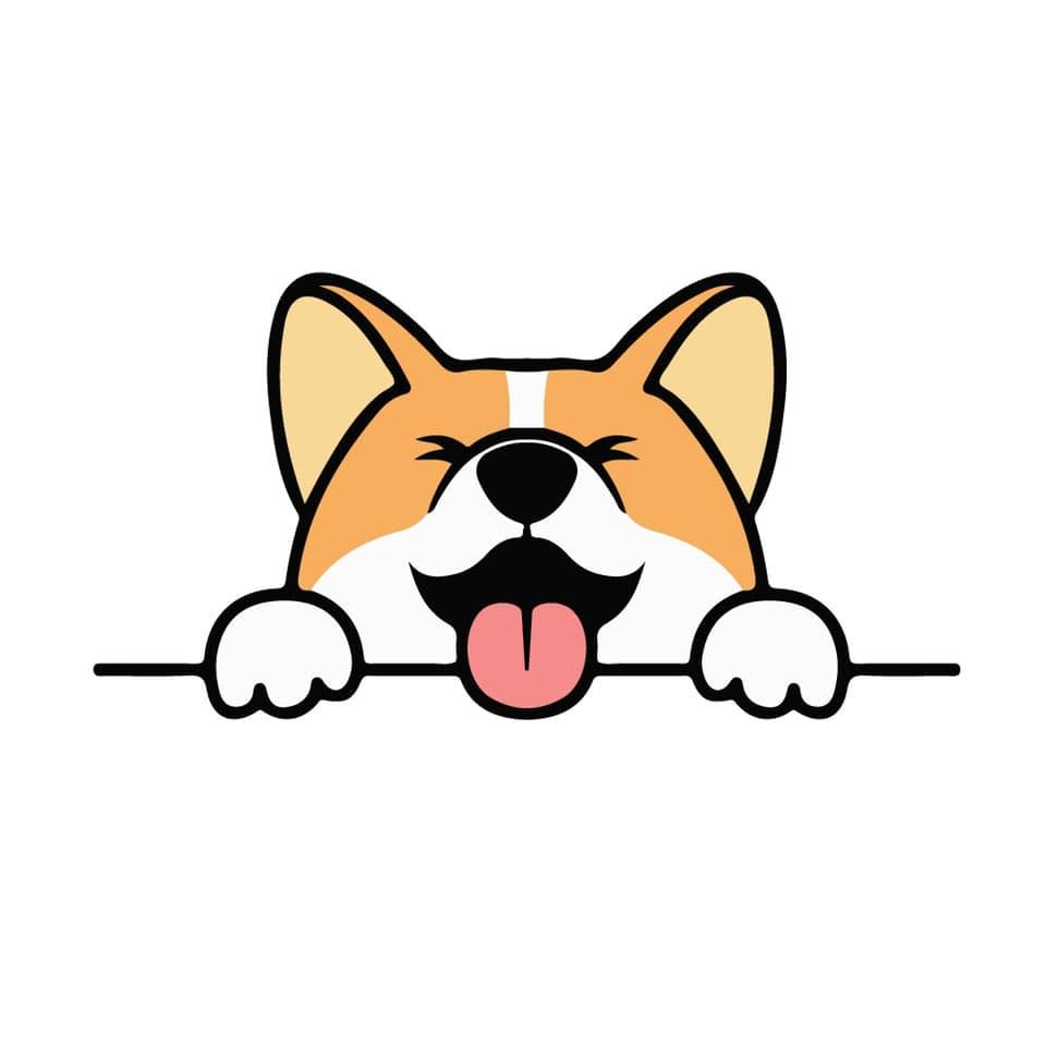 Image result for Corgiswap