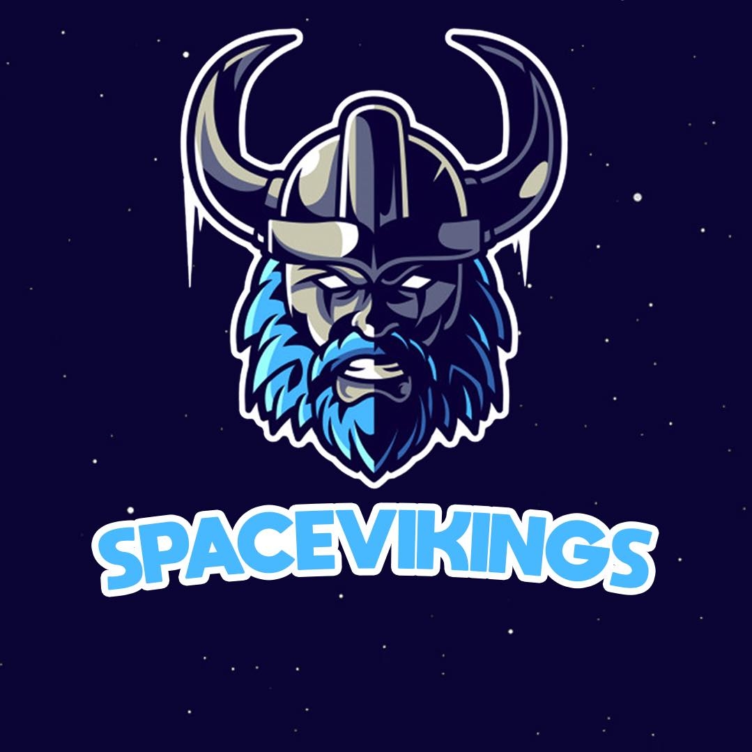 Image result for SpaceVikings