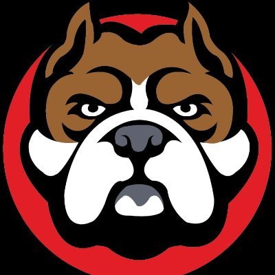 Image result for BullDog Coin