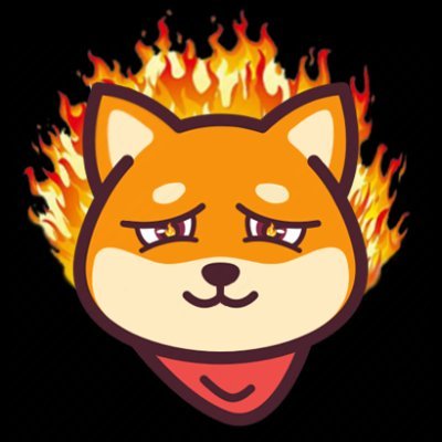 Image result for Fire Inu