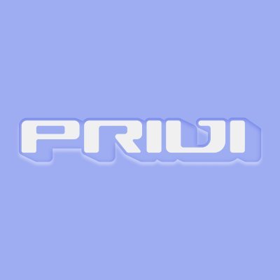 Image result for Privi Protocol