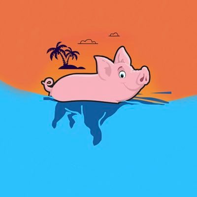 Image result for Aqua Pig