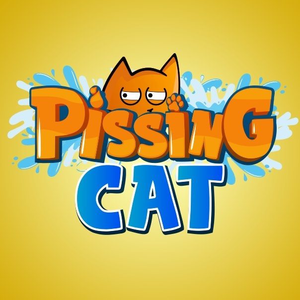 Image result for Pissing Cat