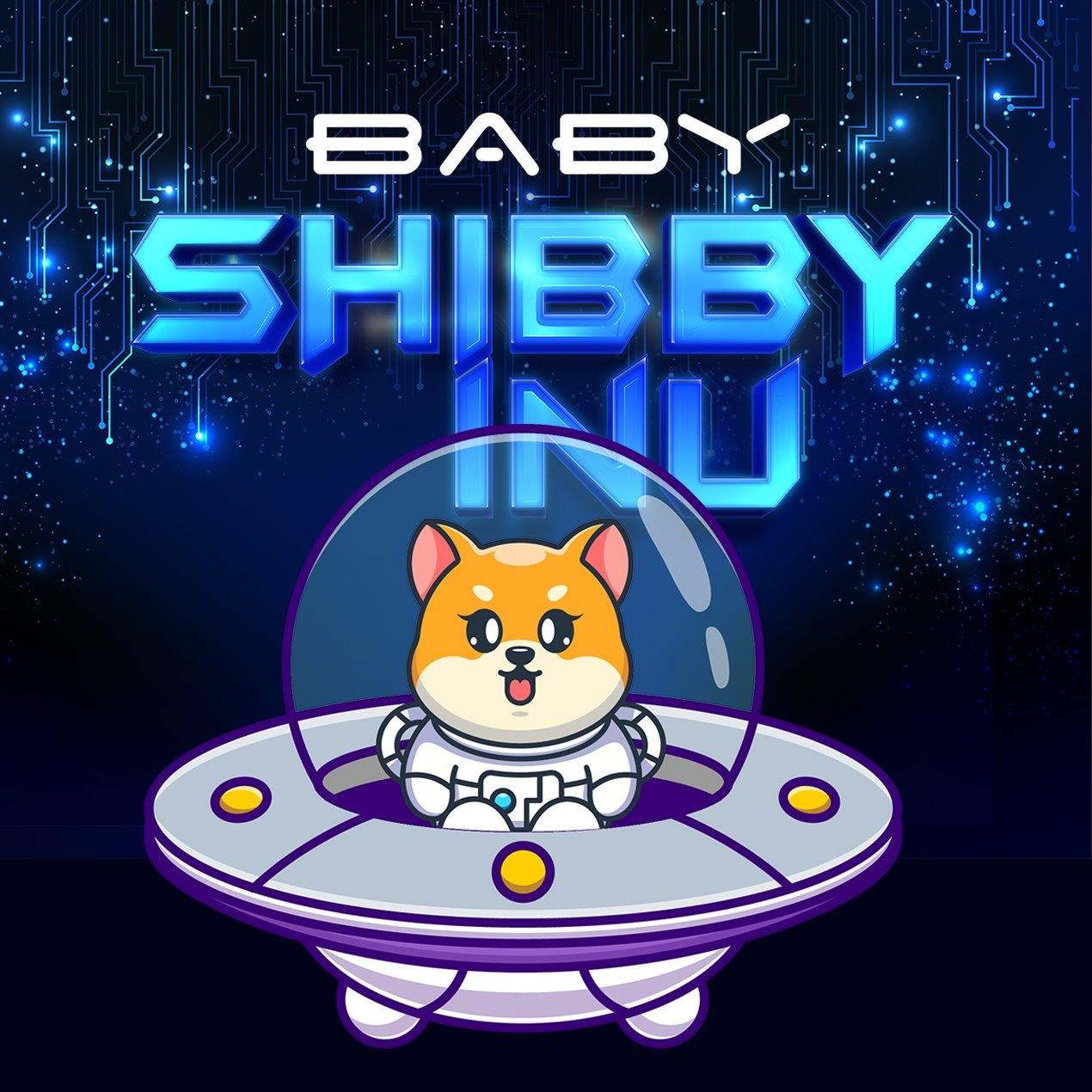 Image result for BabyShibby Inu