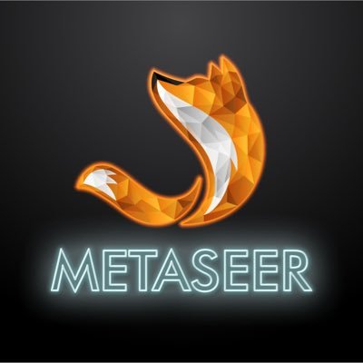 Image result for Metaseer