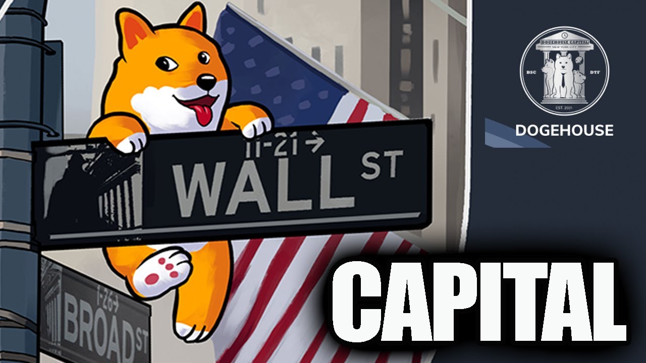 Image result for DogeHouse Capital