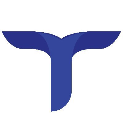 Image result for Tianyu Finance