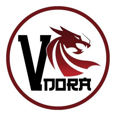 Image result for VDORA