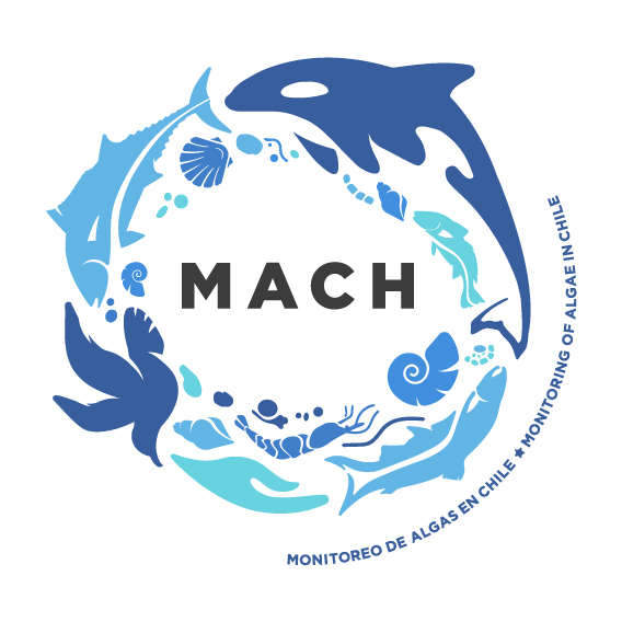 Image result for MACH Project