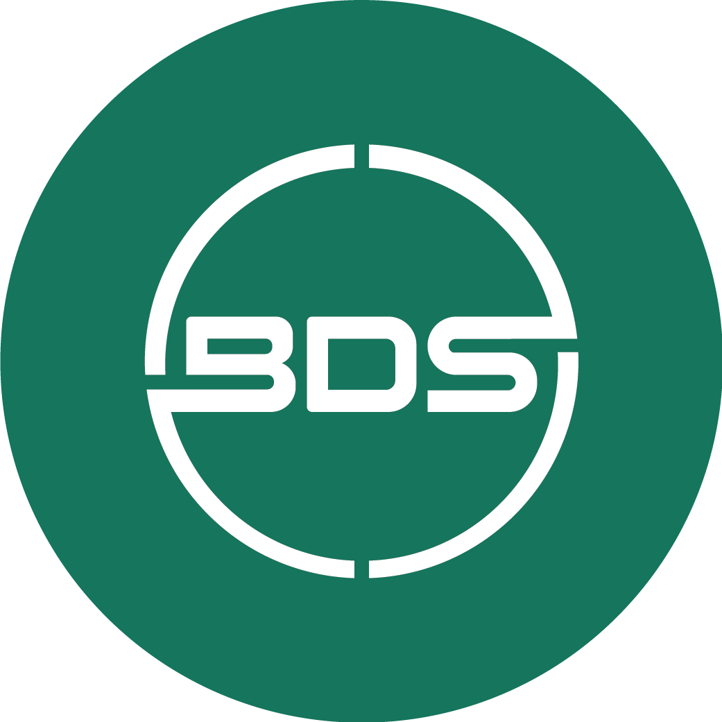 Image result for BDS Holding LLC 