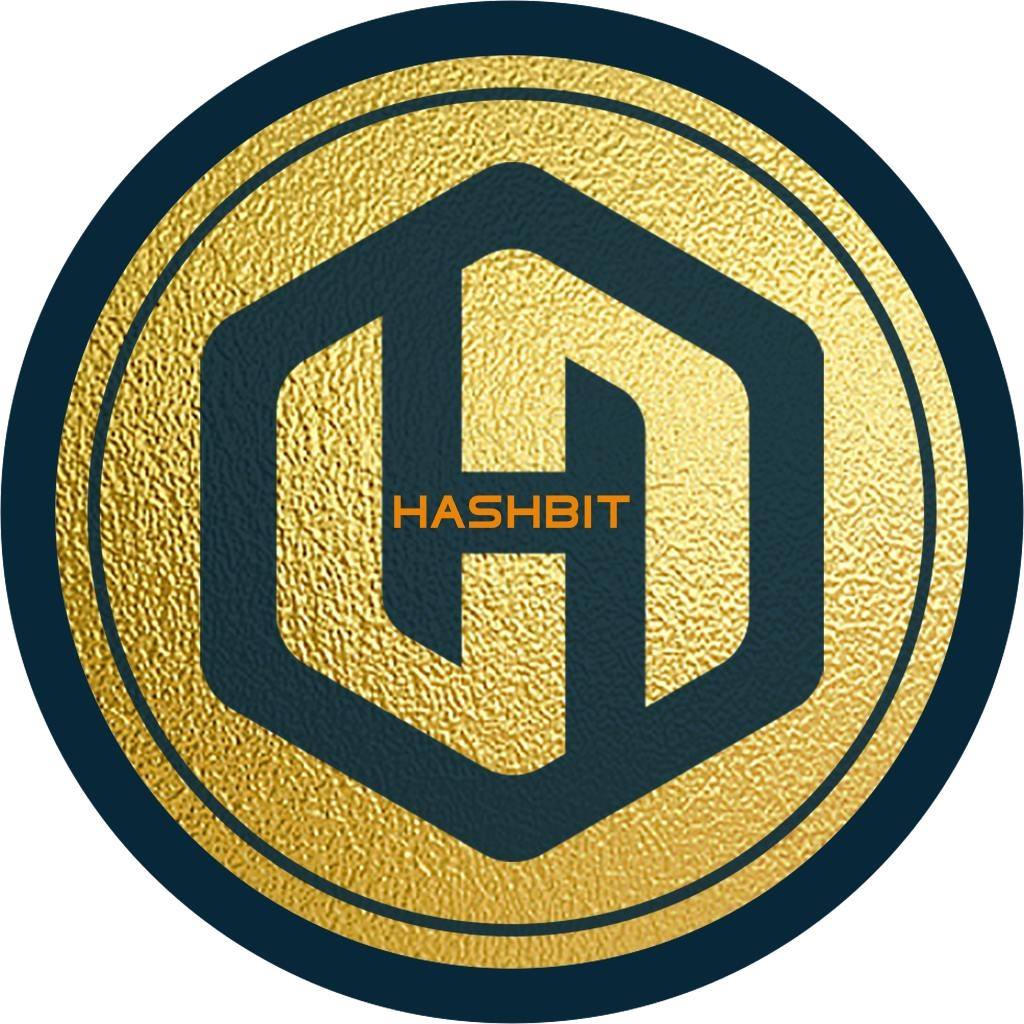 Image result for HashBit BlockChain