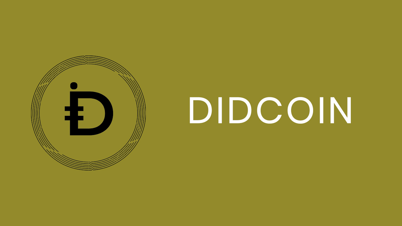 Image result for Didcoin