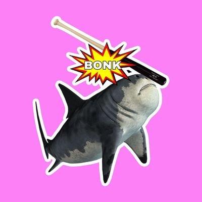 Image result for SharkBonk