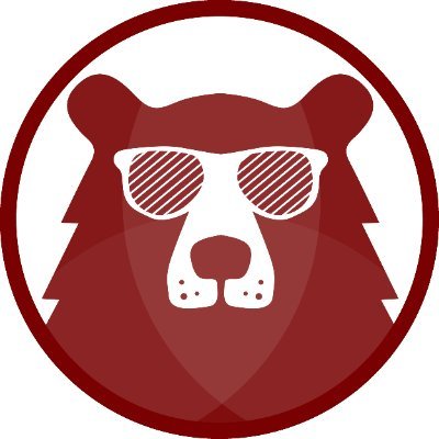 Image result for BEAR Coin