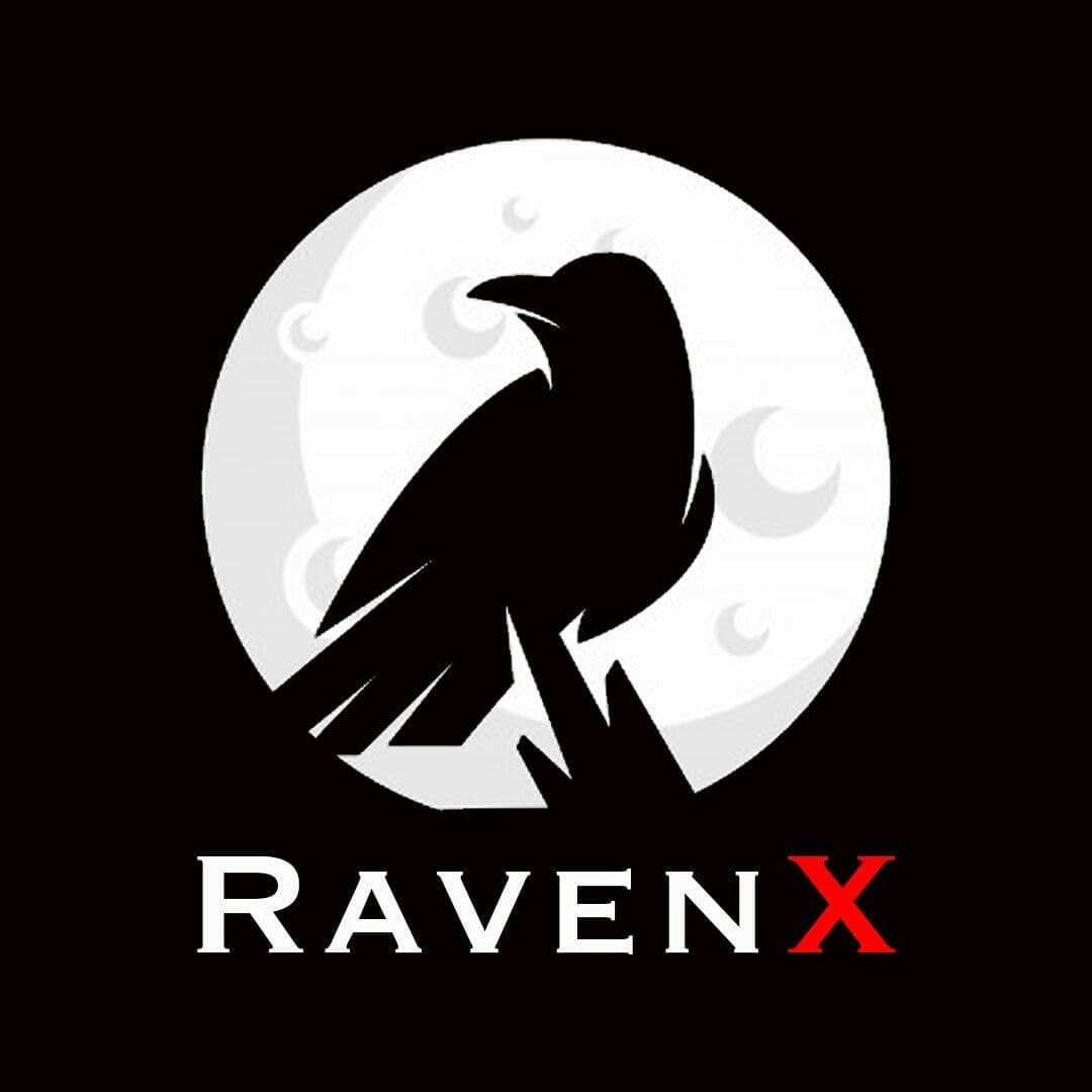 Image result for Raven X