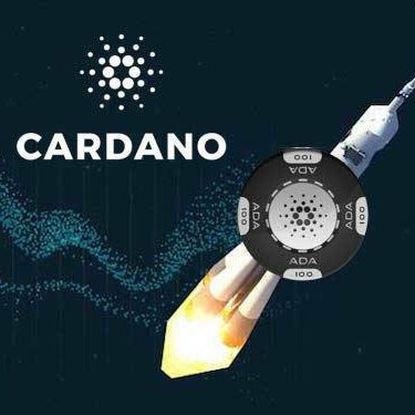 Image result for Venus Cardano