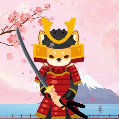 Image result for Shiba Shogun