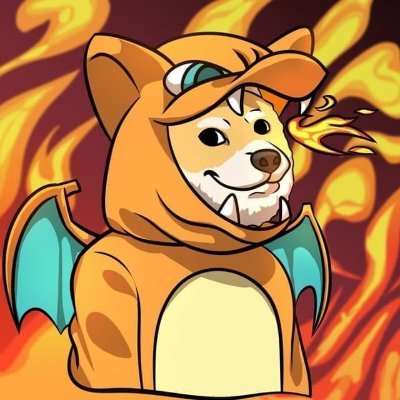 Image result for Charizard Inu