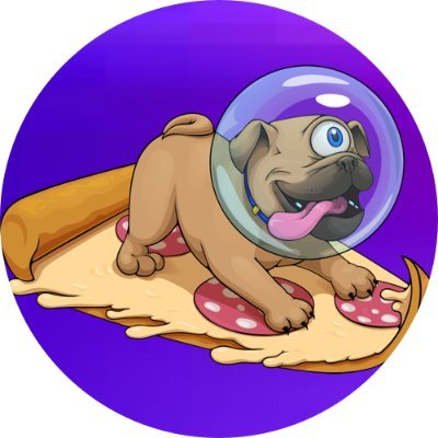 Image result for Pizza Pug Coin