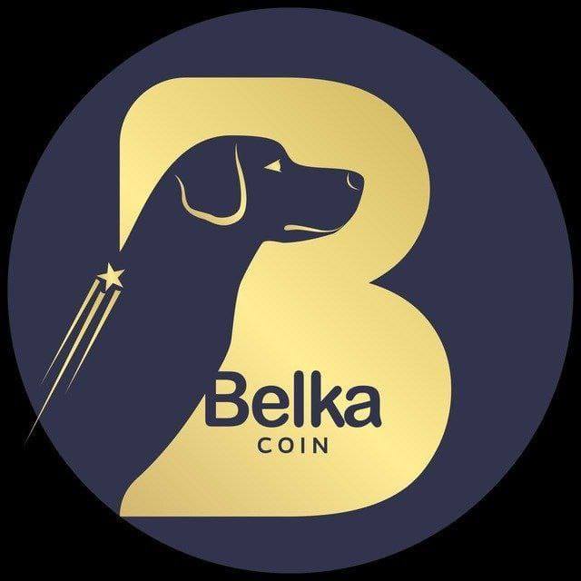 Image result for Belka