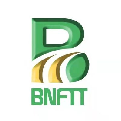 Image result for BNFTX Token