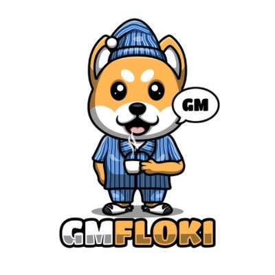 Image result for GM Floki