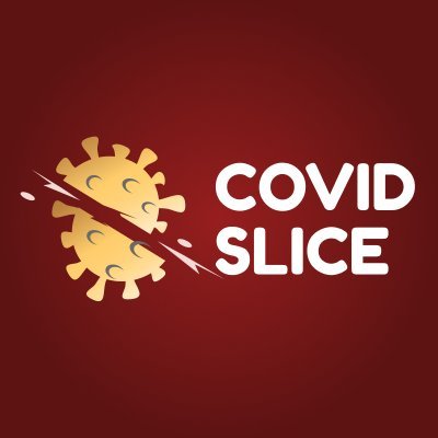 Image result for Covid Slice
