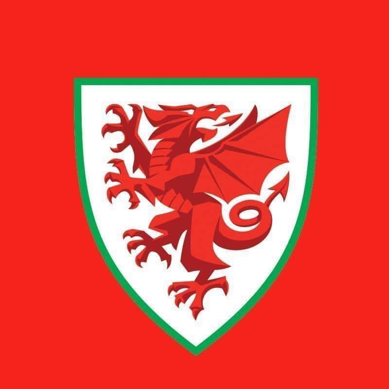 Image result for Wales National Football Team