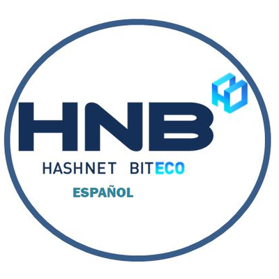 Image result for HashNet BitEco