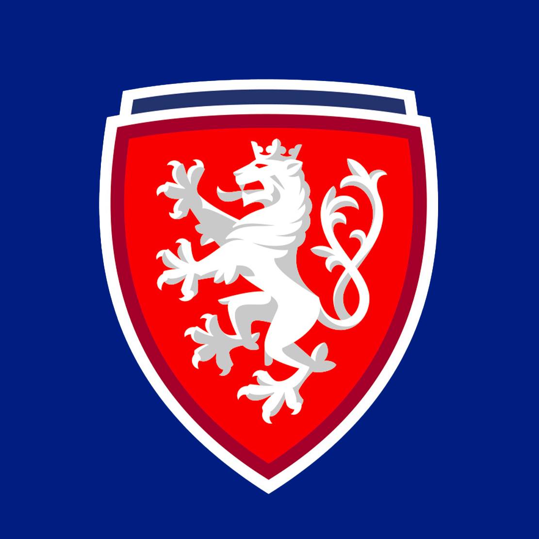 Image result for Czech national football team