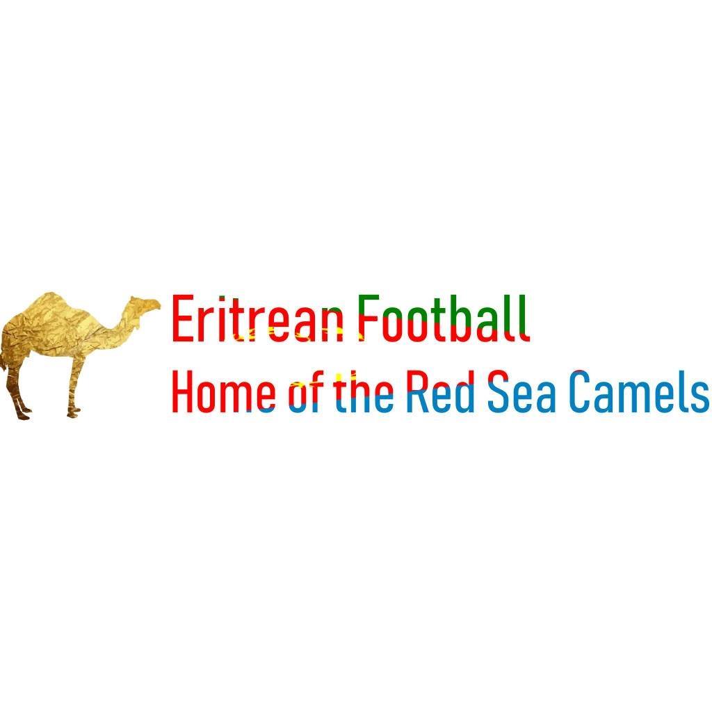 Image result for Eritrean Football