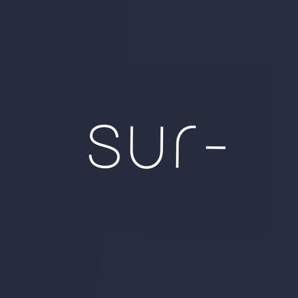 Image result for Sur