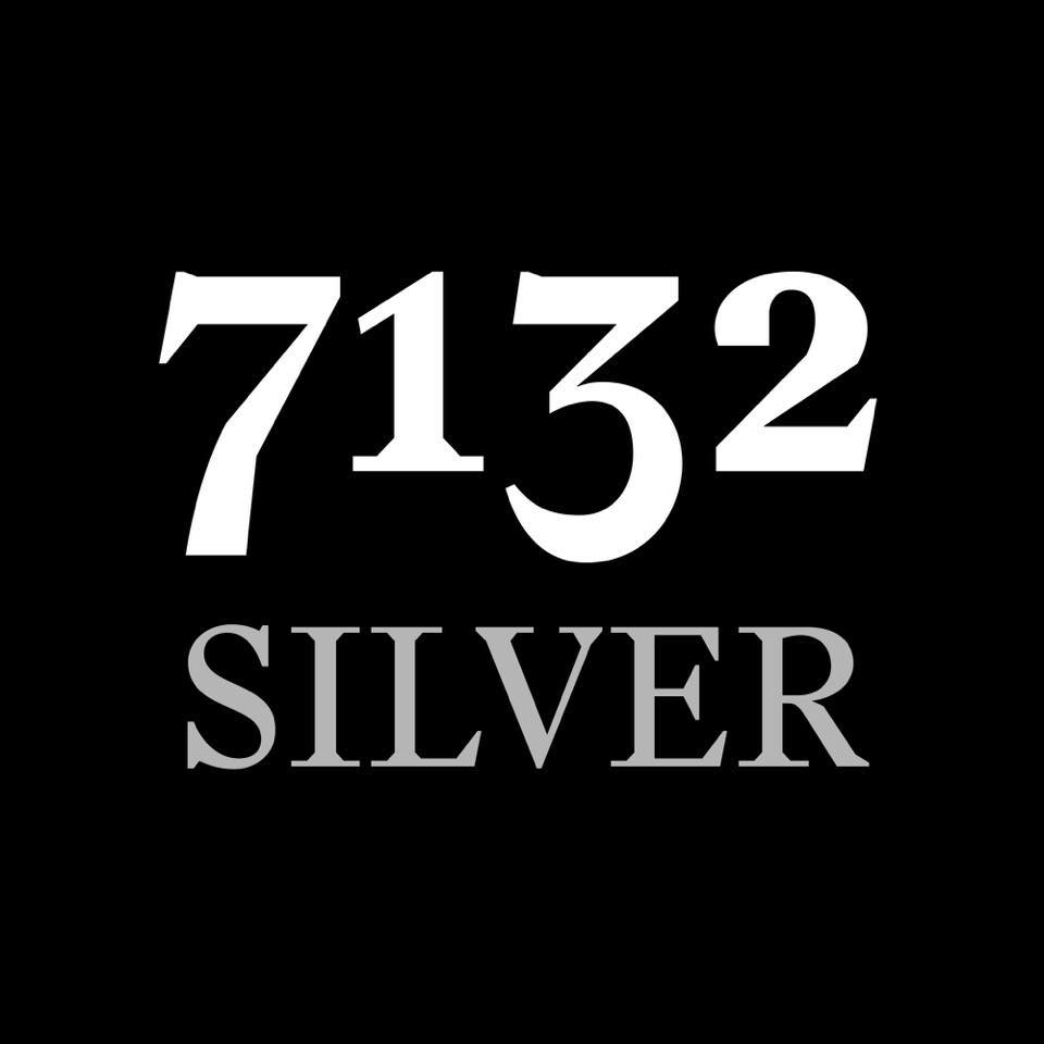 Image result for 7132 Silver