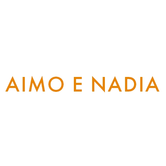 Image result for Aimo e Nadia