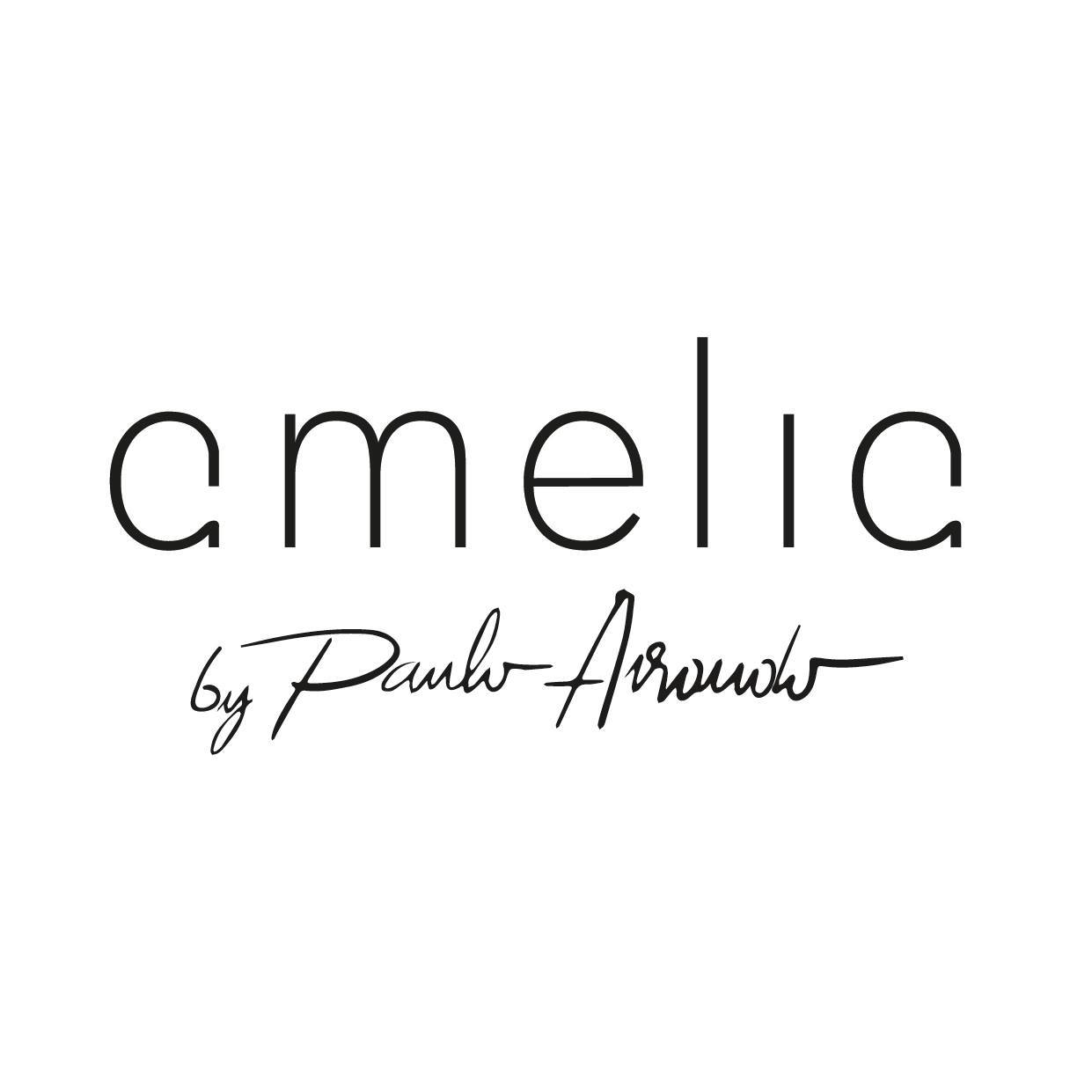 Image result for Amelia by Paulo Airaudo