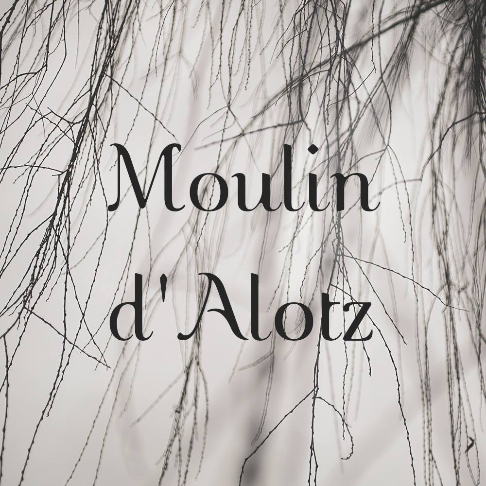 Image result for Moulin d Alotz