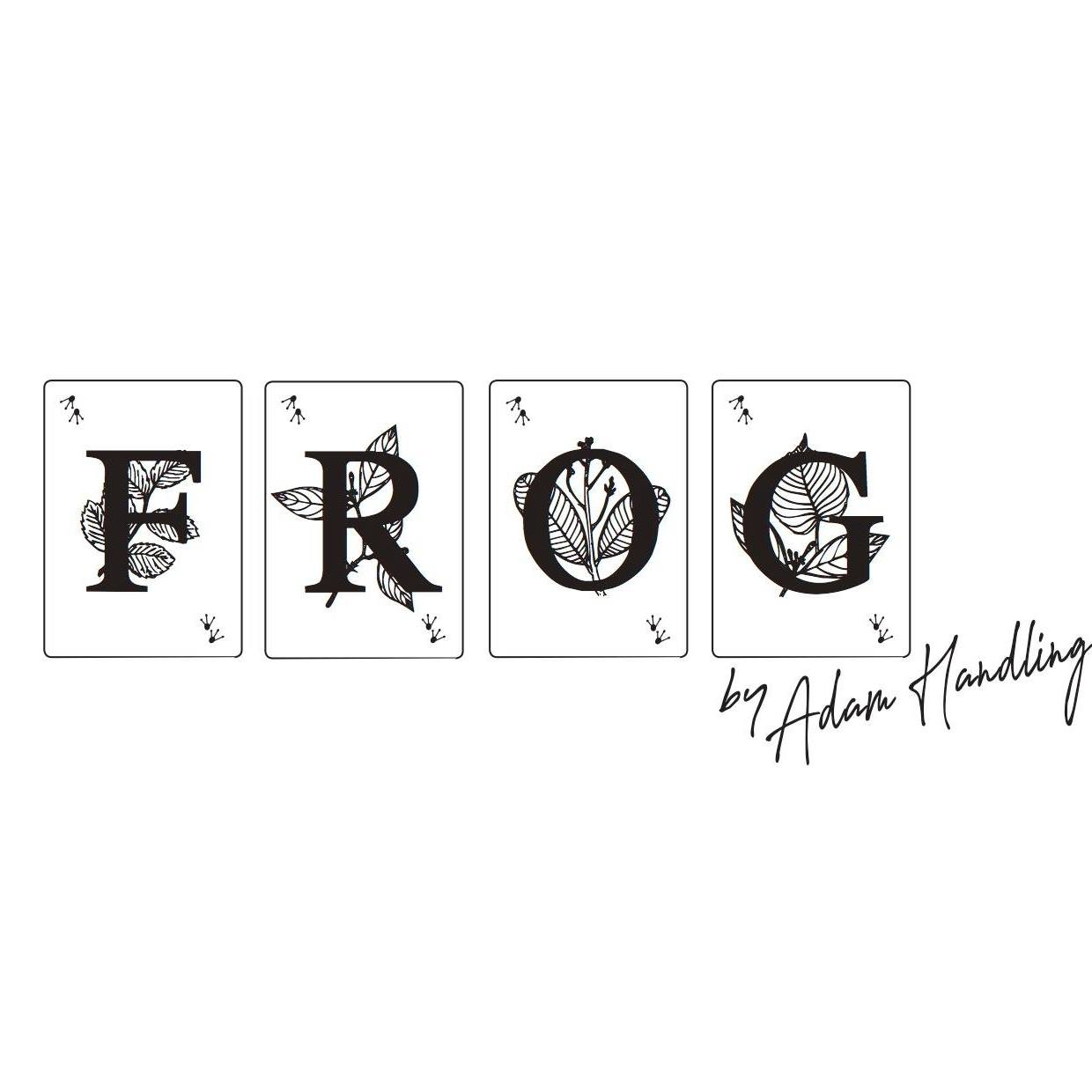 Image result for Frog by Adam Handling