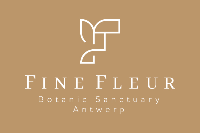 Image result for Restaurant Fine Fleur