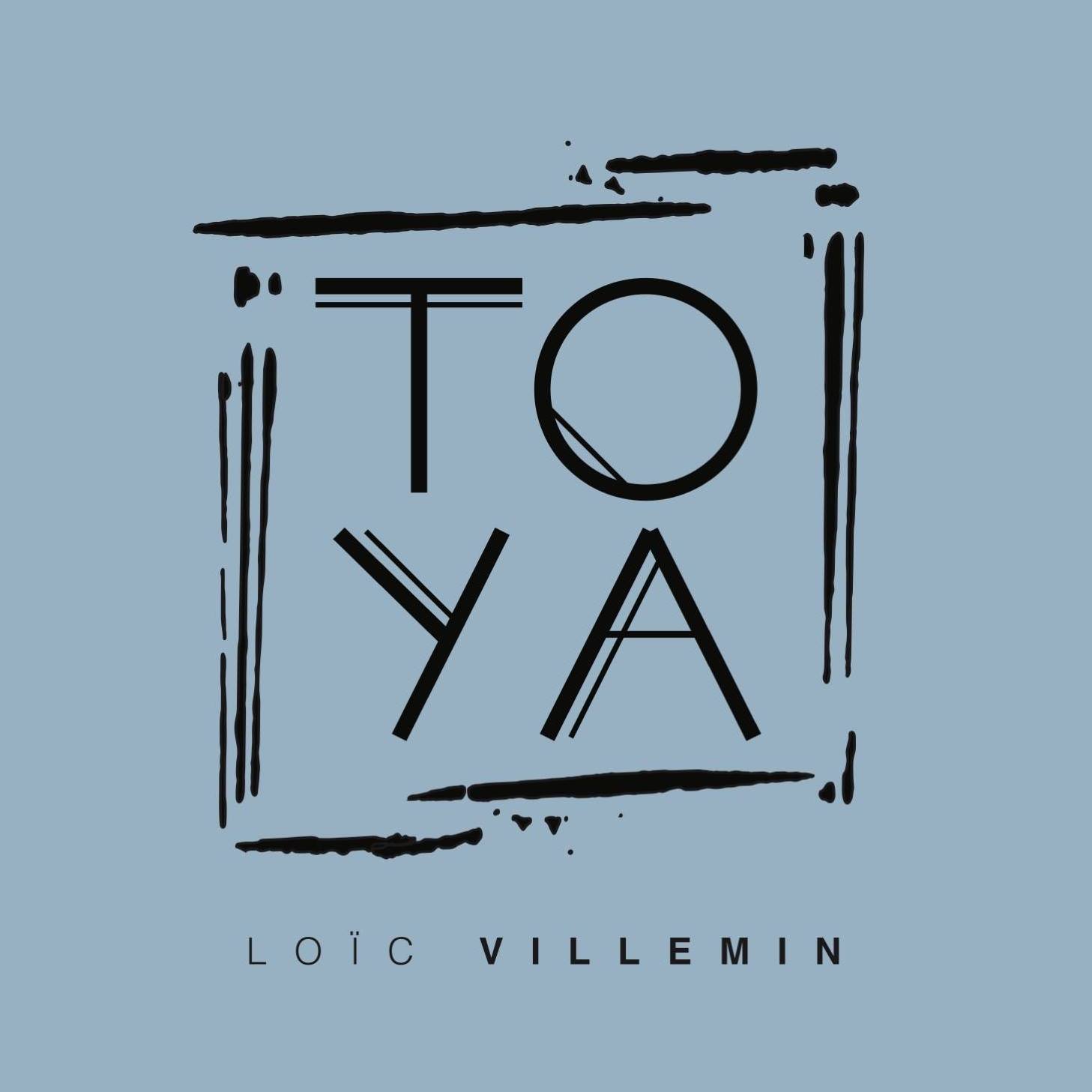 Image result for Restaurant TOYA Villemin Loic