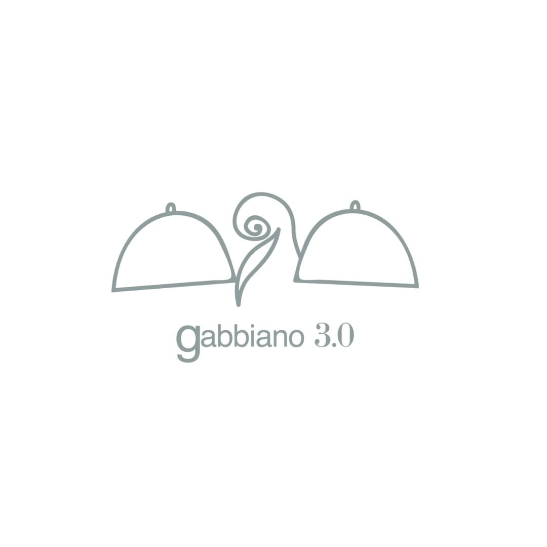 Image result for Gabbiano 3.0