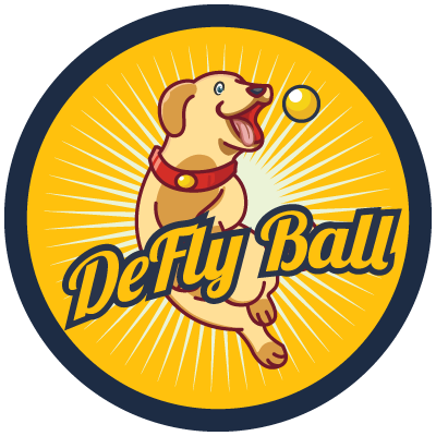 Image result for DeFlyBall