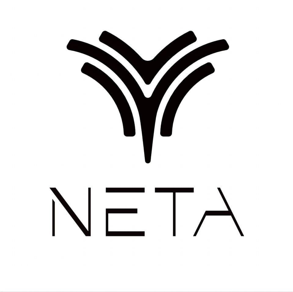 Image result for Neta Auto Thailand