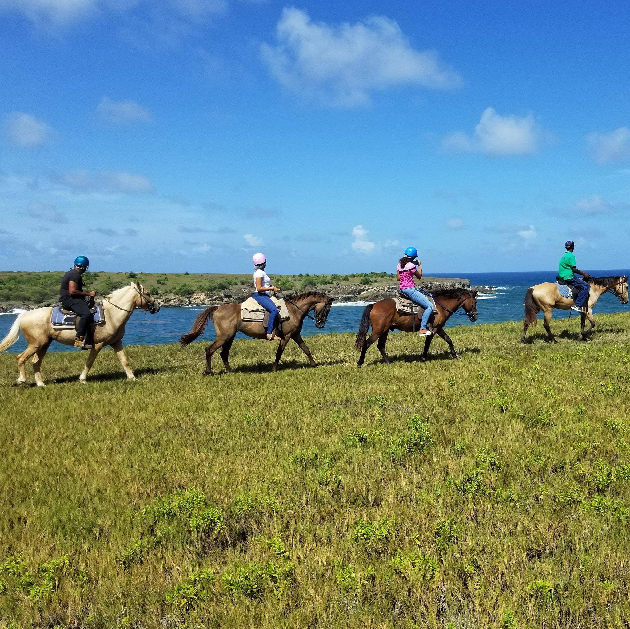Image result for Atlantic Shores Riding Stables