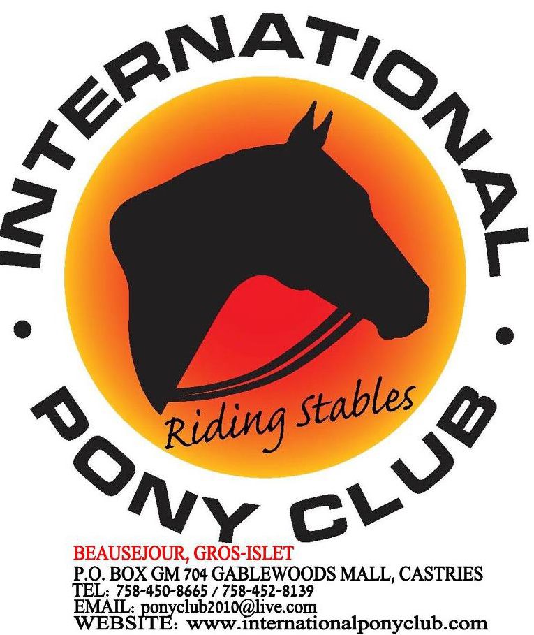 Image result for International Pony Club