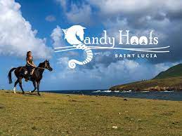 Image result for Sandy Hoofs St. Lucia