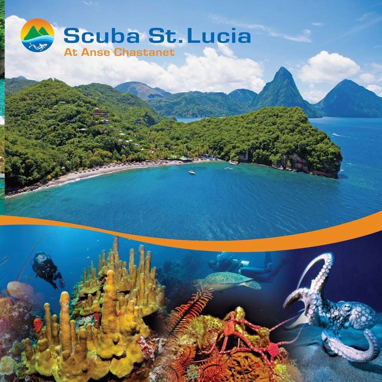 Image result for Scuba St. Lucia