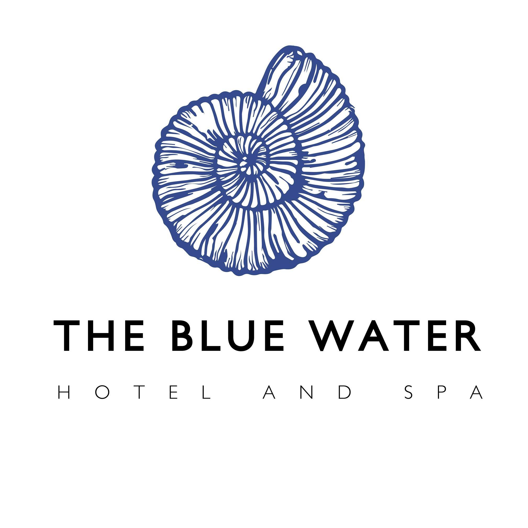 Image result for The Blue Water