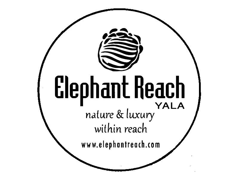 Image result for Hotel Elephant Reach