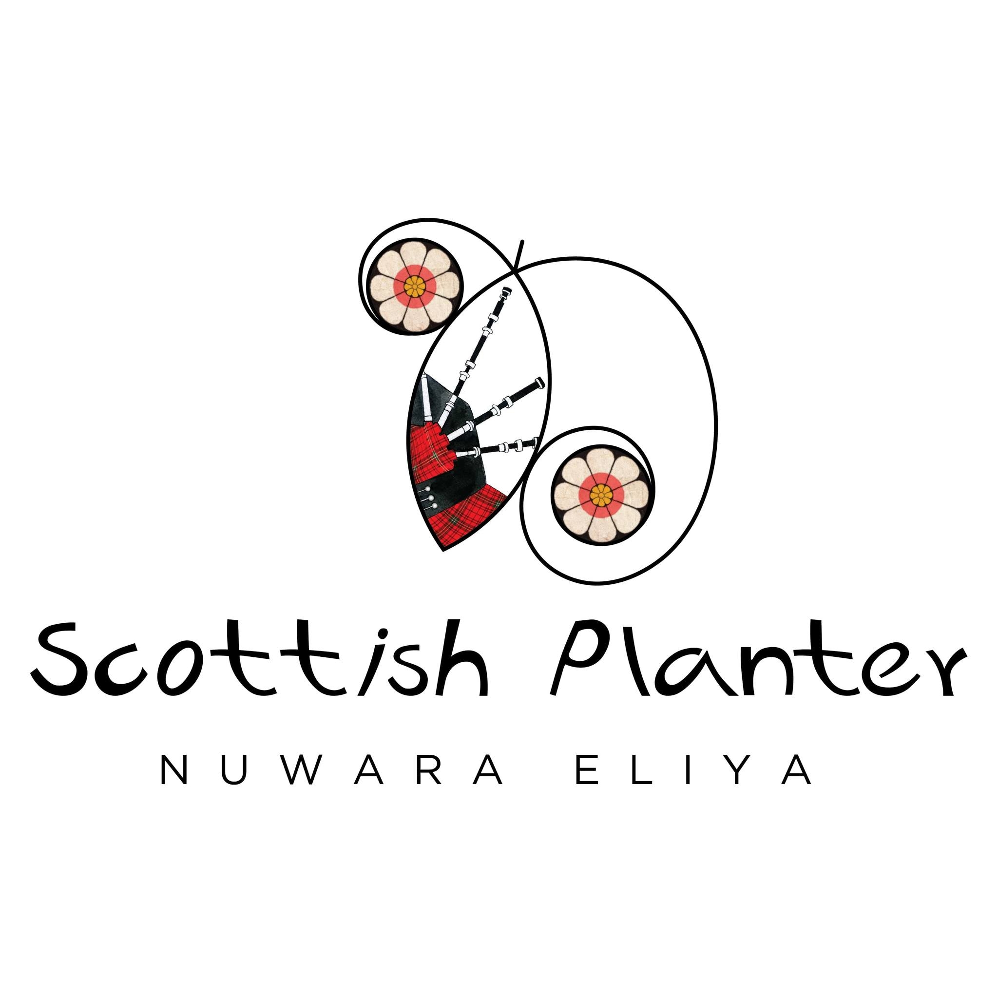 Image result for Scottish Planter Bungalow